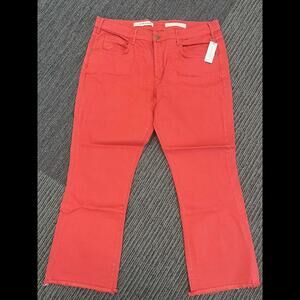 New Pilcro & The Letterpress Anthropologie Red Script Cropped Raw Hem Jeans 33